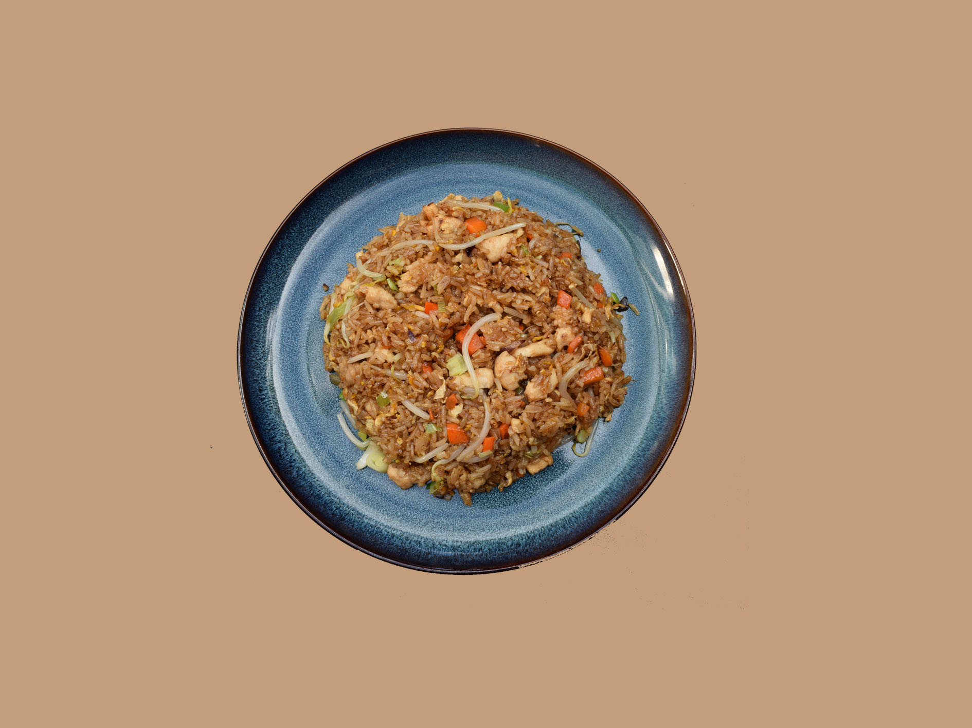 ARROZ FRITO YAKITORI