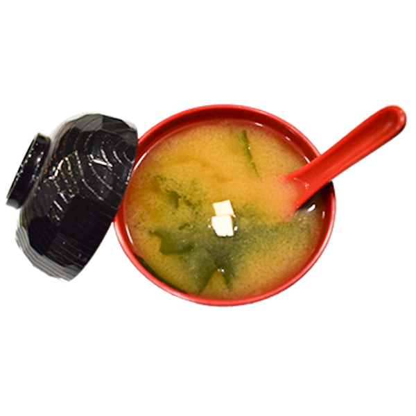 SOPA MISO